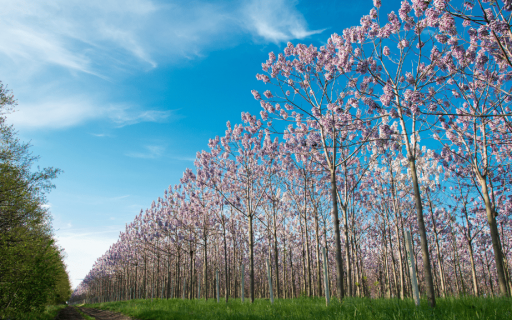 NASCE ALFA-KIRI, IL CONTAINER PER LA GREEN ENERGY